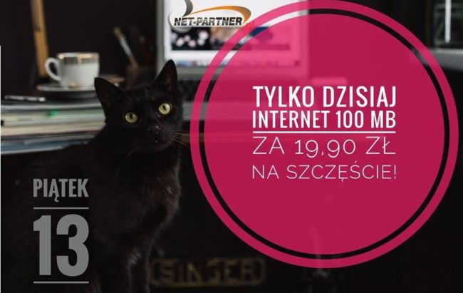 37003678_1774006092694160_5638140926808293376_n