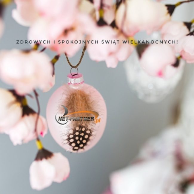 57297682_2166292233465542_9101315543113138176_n