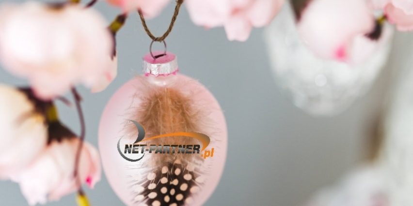 57297682_2166292233465542_9101315543113138176_n