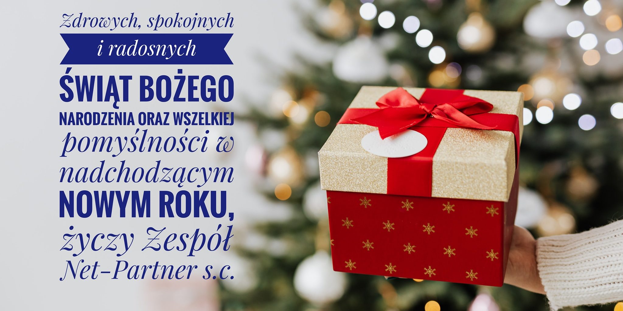 80457198_2631195216975239_3857401641405775872_o